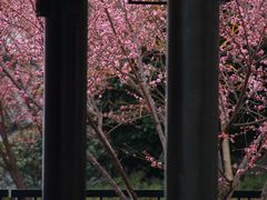 -东林广场(地铁站)