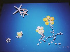 -青岛贝壳博物馆