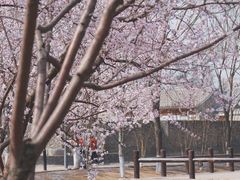 -三里河公园