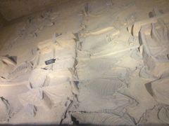 -洛阳周王城天子驾六博物馆