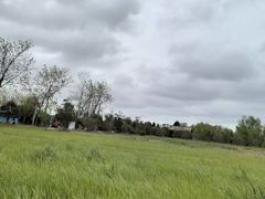 -盐城丹顶鹤湿地生态旅游区
