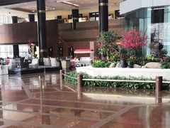 -上海新锦江大酒店