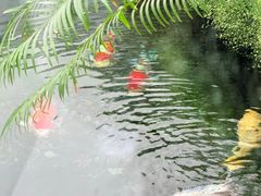 -罗红摄影艺术馆