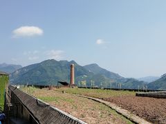 -茅台镇网红溶洞餐厅·茅帮菜馆