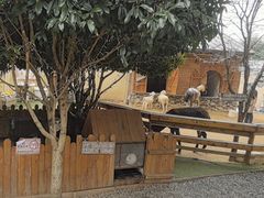 -HERRE·FARM 赫尔露营农场·团建聚会包场