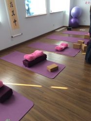 -爱尔乐美孕产瑜伽·普拉提