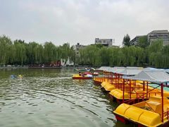 -莲湖公园