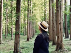 -黄海国家森林公园