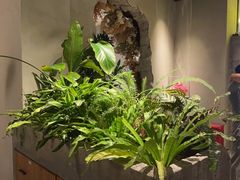 -漾花汐·西餐·下午茶(苏州湾歌林公园店)