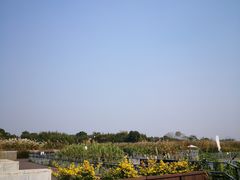 -下渚湖国家湿地公园科普馆