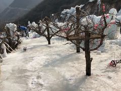 -大平台龙居瀑布旅游区