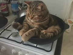 -青州永盛糕点(济南三店)