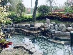 -龙佳生态温泉山庄