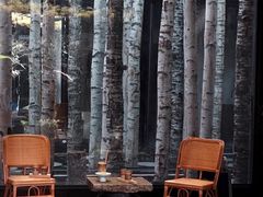 -Metal hands·铁手咖啡