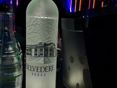 灰雁伏特加-Insanity Nightclub