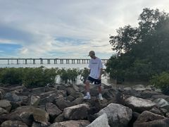 -宝安西湾红树林湿地公园