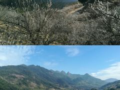 -广州市流溪河国家森林公园