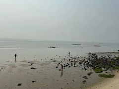 -北海金海湾红树林生态旅游区