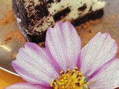 -J Create城市露营咖啡·简餐·宠物(上海动物园店)