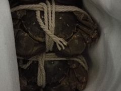-喜洋洋蟹庄(阳澄湖店)