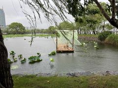 -无锡蠡湖国家湿地公园-蠡园