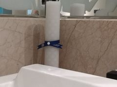 -成都明宇丽雅饭店