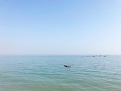 -北海金海湾红树林生态旅游区