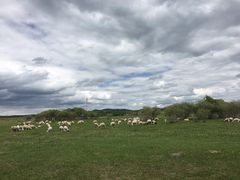 -塞罕坝国家级自然保护区