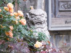 -老门东历史文化街区