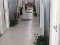 -泰康拜博口腔(鹭集门诊部)