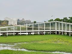 -艾米稻香小镇