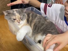 -藦茜花园宠物主题亲子互动体验馆(国顺东路店)