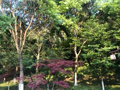 -幕燕滨江·长江观音景区