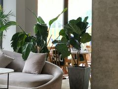 -The Rug Cafe(王府中环店)