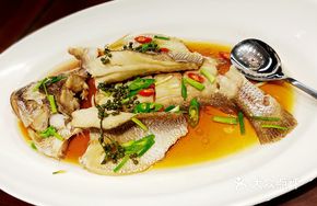 Sichuan Pepper Red Wine Yellow Croaker