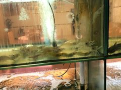 -金生美食(贵州路店)