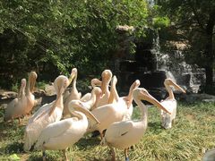 -北京野生动物园