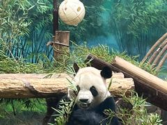 -杭州动物园