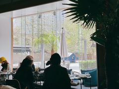-the rug 飞毯 (朝阳公园店)