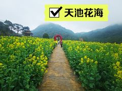 -广州市石门国家森林公园