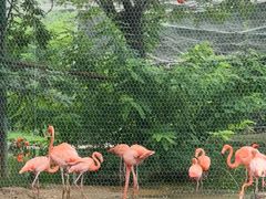 -石家庄市动物园