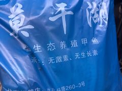 -德清诚信农产品莫干湖甲鱼直销店