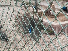 -南京金牛湖风景区