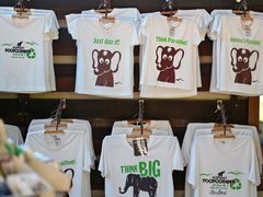 -大象粑粑造纸公园