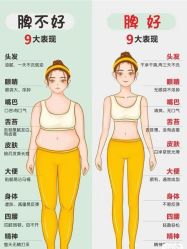-Fundi张玉珊修身堂·indiba·BTL科技瘦身