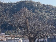 -丽泽山庄·生态怀柔菜·虹鳟鱼(红螺寺店)