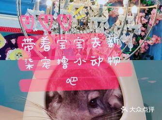 带宝宝去新柒宠撸小动物吧