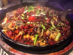 -老板恋上鱼(恒隆广场店)