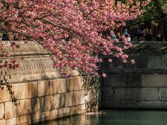 -颐和园