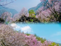 -九皇山景区